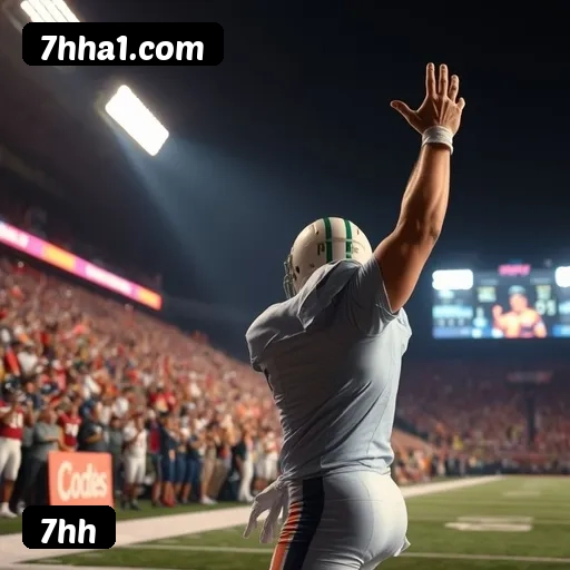 Níveis do programa VIP da 7hh